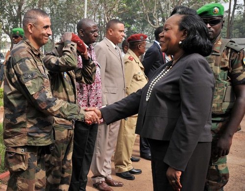 La Centrafrique veut le maintien des forces françaises jusqu'en 2015 - ảnh 1